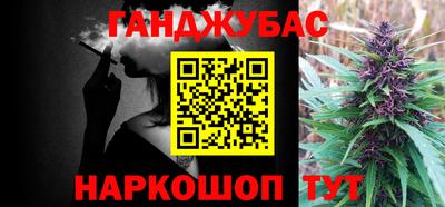 шишки Моздок
