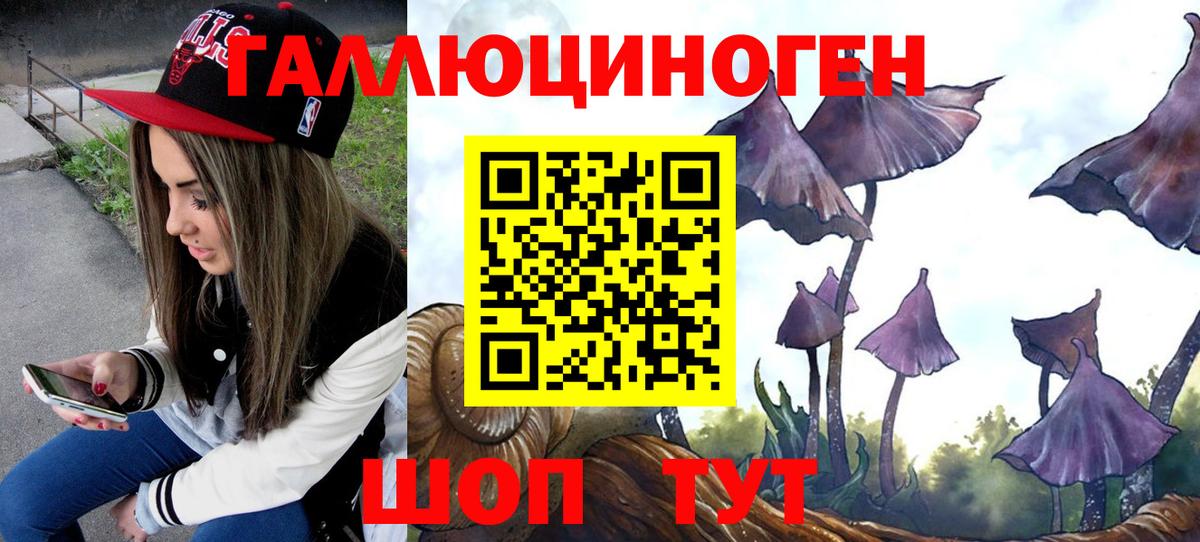 Галлюциногенные грибы прущие грибы  Галлюциногенные грибы GOLDEN TEACHER  Богородск  Вход с VPN 