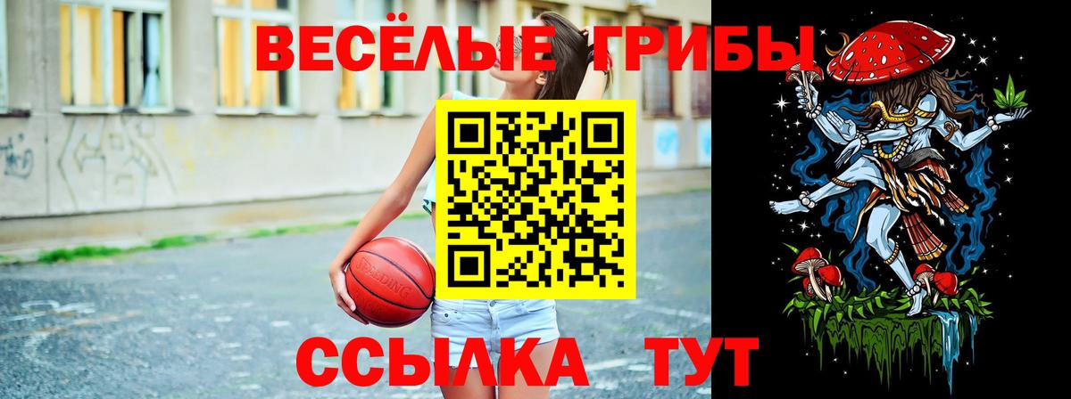 Галлюциногенные грибы Psilocybine cubensis Богородск